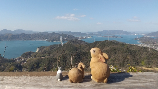 うさぎ　旅行